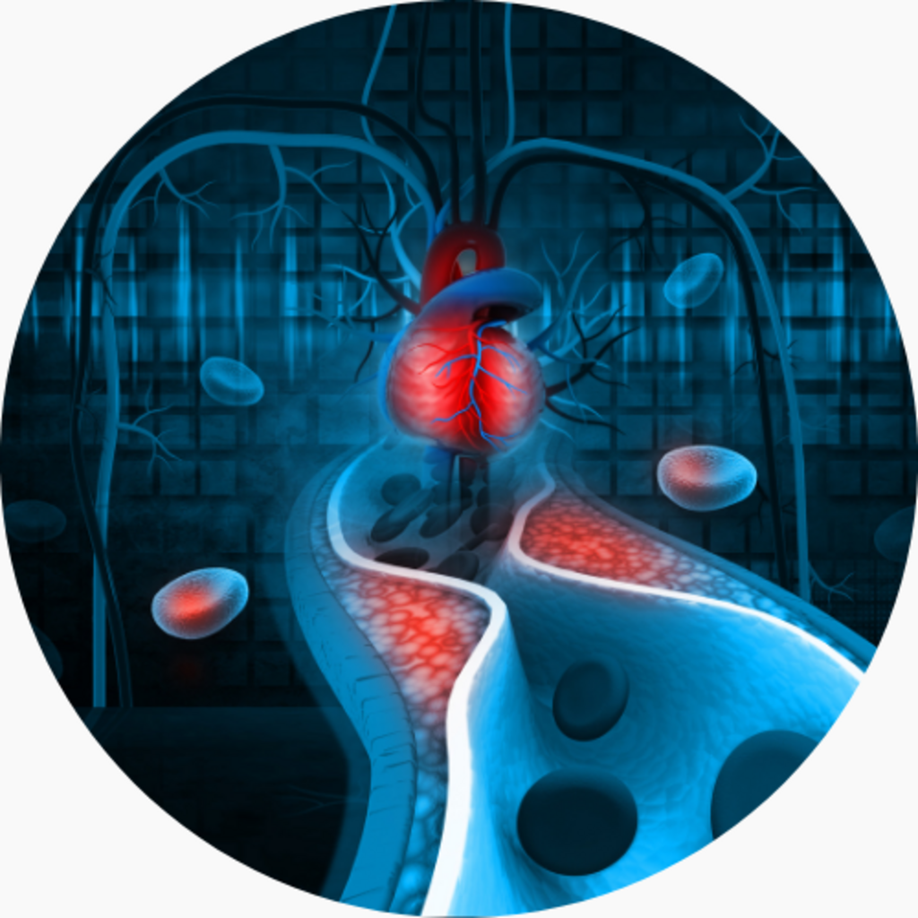 Understanding Cholesterol, Lipids, and Cardiovascular Risk
