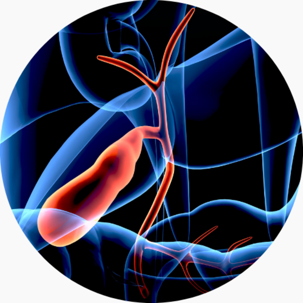 Does Eating Fat Cause Gallstones? Gallbladder Health on a Low-Carb Diet