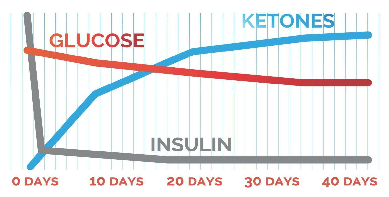 Does Ketosis Reduce Hunger? What the Research Says