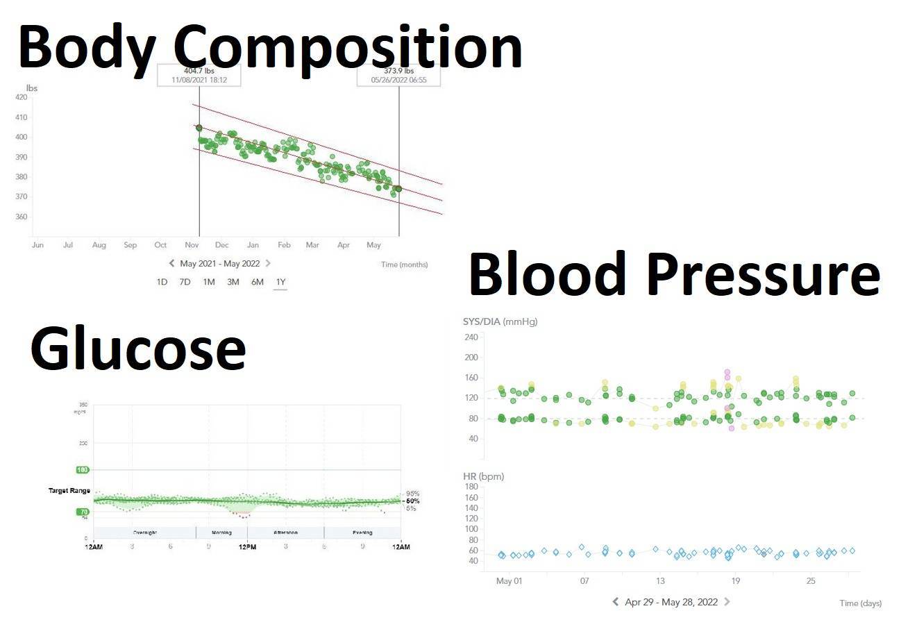 Charts of body composition, glucose and blood pressure over time.