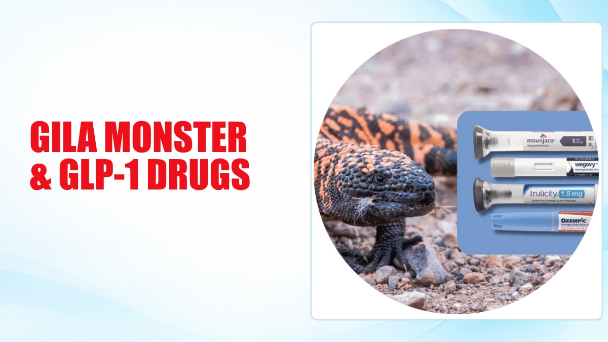 What the Gila Monster Really Taught Us About GLP-1 Drugs